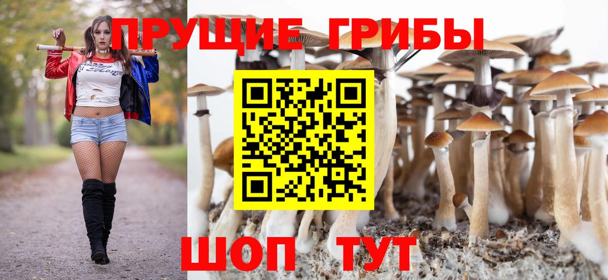 Ишим  Псилоцибиновые грибы MAGIC MUSHROOMS  Вход с VPN 